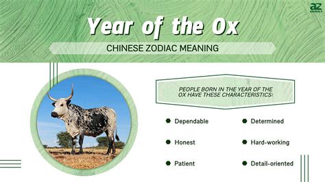 Year of the Ox: Chinese Zodiac, Personality, Horoscope (2024).